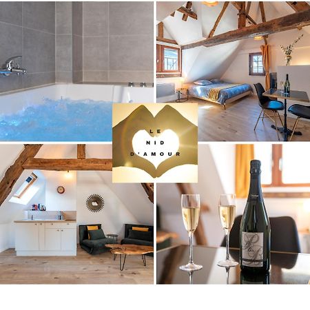 Centre-Ville Le Nid D'Amour Jacuzzi Appartement Rouen Extérieur photo